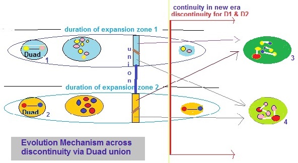 Evolution mechanism across dicontinuity via Duad union