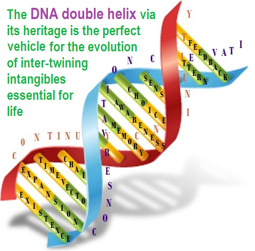 Cosmos Dynamics : An evolutionary model