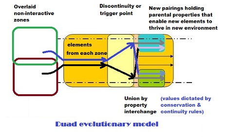 Duad mechanism  model for evolution