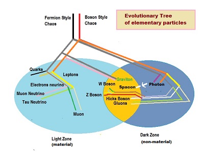 First drafft Evolutionary Tree for Elementary particles