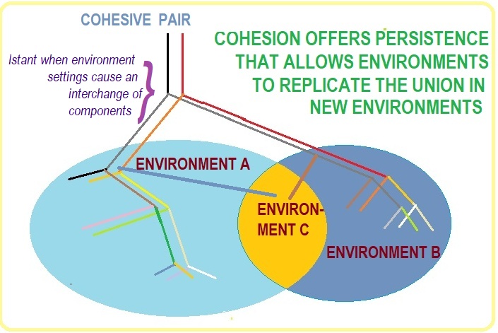 Persistance via cohesive pairing essential to Evolution